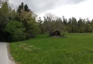 Wald und Wiese mit Hütte