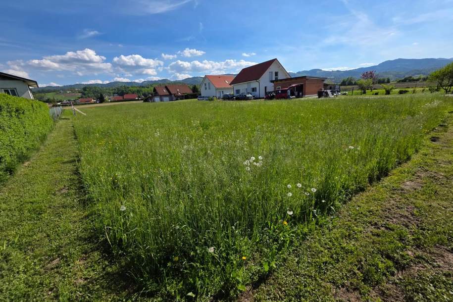 Ebenes & sonniges Baugrundstück in der Südsteiermark!, Grund und Boden-kauf, 49.000,€, 8455 Leibnitz