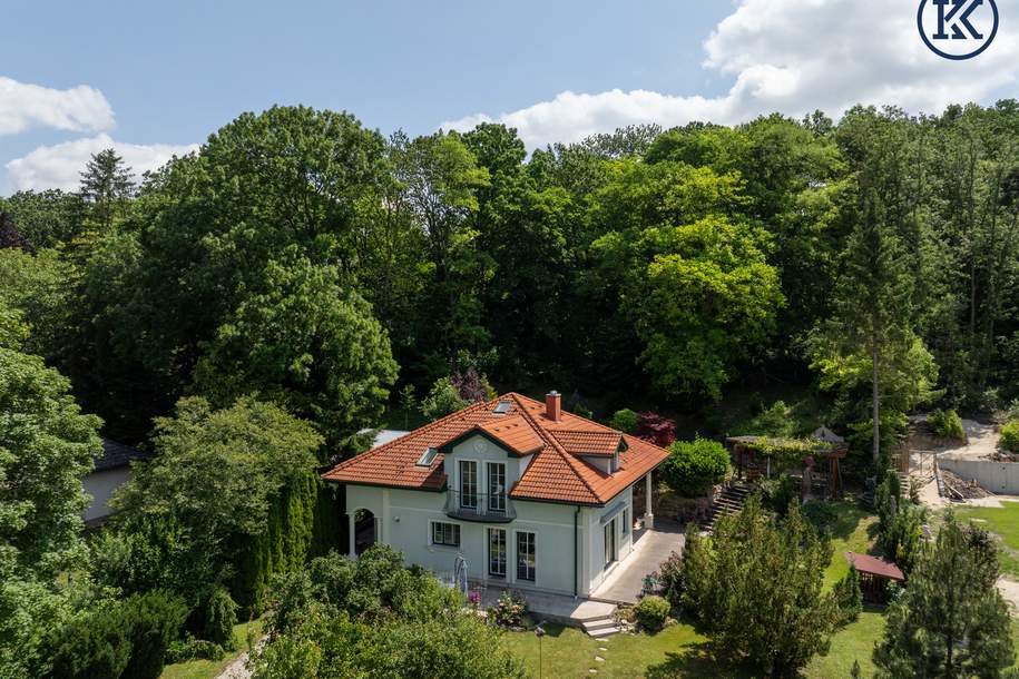 Ihr Zuhause der Ruhe – mit traumhafter Natur und gleichzeitig toller, schneller Anbindung., Haus-kauf, 1.189.000,€, 2123 Mistelbach