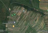 Wiese in Mörbisch, Blick über den ganzen Neusiedler See: 1219m²