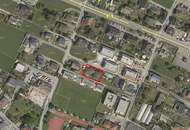 Design und Natur – vereint in einem besonderen Zuhause