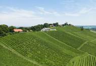 GEEIGNET FÜR INVESTOREN - Modernes Apartment in der malerischen Südsteiermark, nahe den Weinbergen