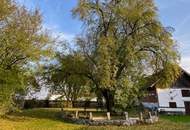 Grundstück mit historischem Landhaus