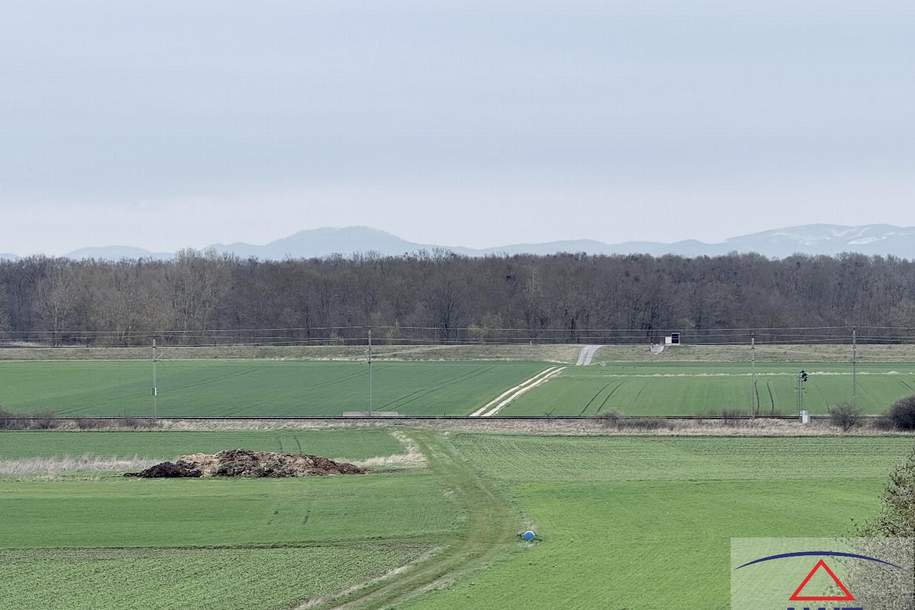 Schöne Äcker in besten Lagen!, Grund und Boden-kauf, 2263 Gänserndorf