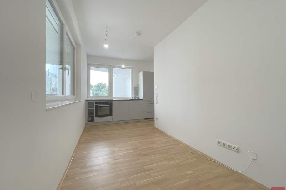 Single Hit - auch für Paare geeignet - Moderne 2-Zimmer-Wohnung, Wohnung-miete, 829,00,€, 3400 Tulln