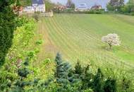 Exklusive Villa in den Weinbergen - traumhafter Ausblick
