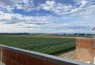 Eigenheim mit Dachterrasse und Begrünung, Estrich bereits fertig