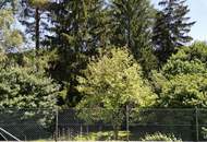MAUERBACH-STEINBACH | Außergewöhnliche Liegenschaft in idyllischer Ruhe- & Parklage auf bis zu 4.242 m² Grund | ZELLMANN IMMOBILIEN