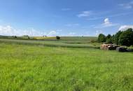 Baurechtsgrund, an Privatpersonen, auf 99 Jahre zu verpachten (Provisionsfrei)