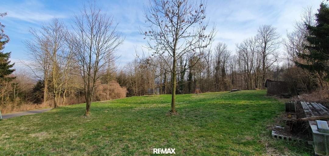 Wald und Wiese