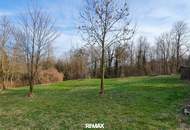 Wald und Wiese