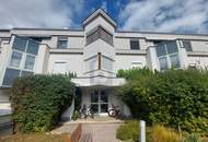 LICHTDURCHFLUTET IM HERZEN DER WACHAU