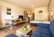 NEUER PREIS! Attraktives Ferienapartment mit Bergblick in Piesendorf