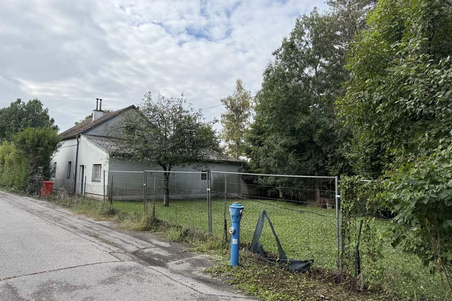 Natur pur, Grund und Boden-kauf, 549.000,€, 2440 Bruck an der Leitha