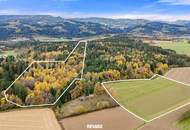 Landwirtschaft mit außergewöhnlichem Charakter und umfangreichem Bestand im Lavanttal: zwei Wohnhäuser, Wirtschaftsgebäude, Wald- und Ackerflächen