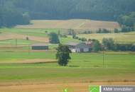 Bauernhaus im Dunkelsteinerwald in Ruhelage