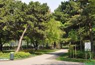 PÄRCHENHIT AM WALDMÜLLERPARK
