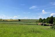 Baurechtsgrund, an Privatpersonen, auf 99 Jahre zu verpachten (Provisionsfrei)