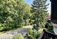 Jagdvilla aus 1910 - vollrenoviert - Top Ruhelage -10 Minuten zu Fuß in die Innenstadt von Baden