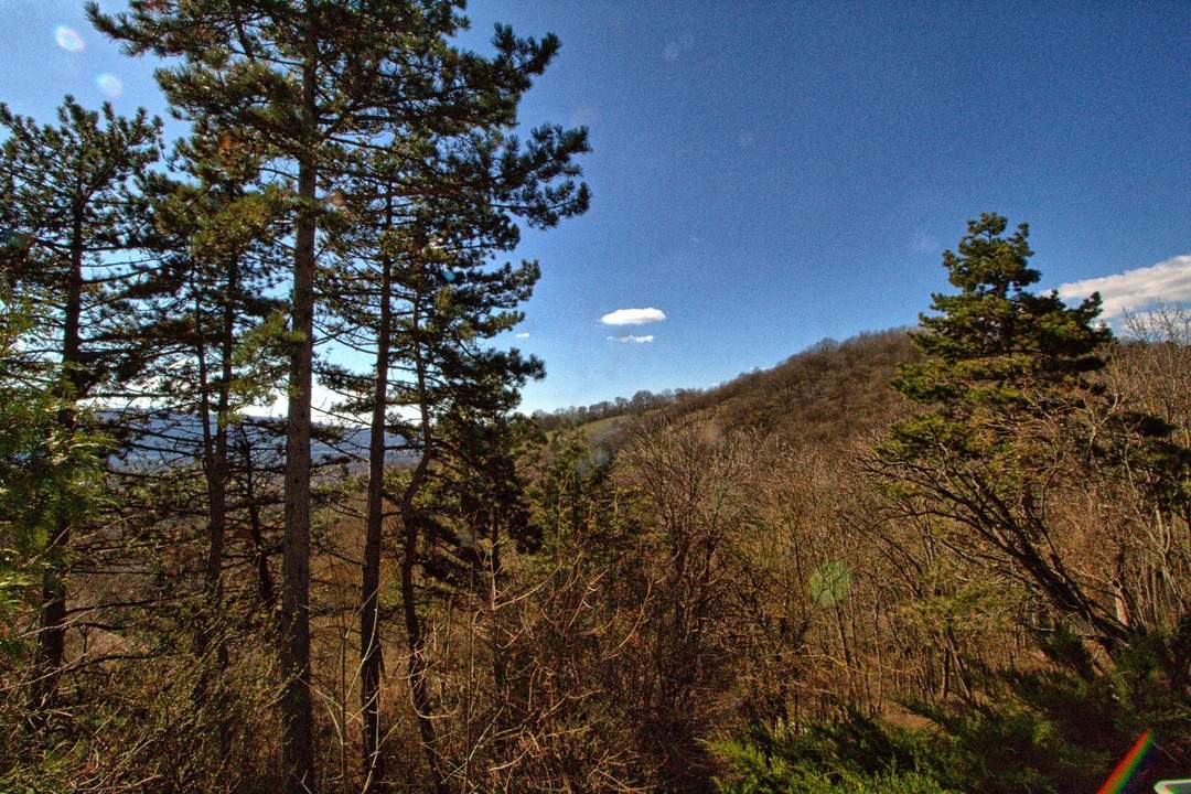 "Herrliches Baugrundstück mit Aussicht"