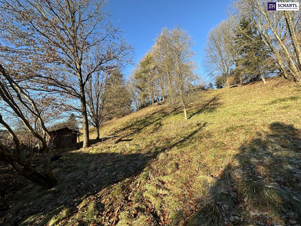 PREISREDUKTION! Attraktiver Baugrund inkl. Bewilligung für Wohnbauprojekt mit 4 Doppelhaushälften! Jetzt anfragen!