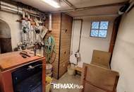 Mehrfamilienhaus mit großzügigem Grundstück und vielseitig nutzbaren Nebengebäuden in Traismauer