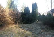 "Rarität in Mauerbach"