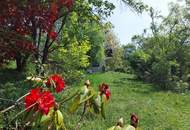 Top Lage mit Schöpfl-Blick, Haus mit Wohnrecht und Mietzahlung - auch für Investoren sehr interessant !