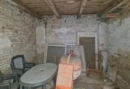 SANIERUNGSBEDÜRFTIGES LANDHAUS MIT KLEINEM HOLZSCHUPPEN UND RUHIGEM INNENHOF AN DER WAGRAMKANTE MIT KLEINEM WEINKELLER FÜR 1-2 PERSONEN