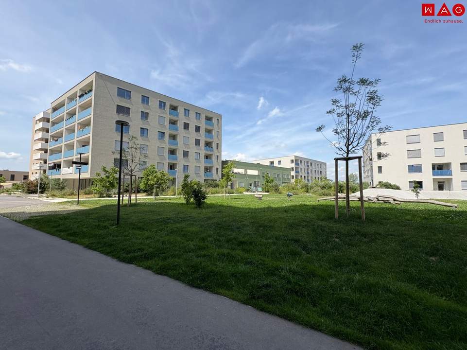 com22PLUS - 1220 Wien, Sonja-Hajek-Weg 7/5 - Attraktiv geförderte Mietwohnung mit DECKENKÜHLUNG und Loggia mit Blick ins Grüne