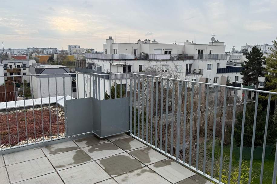 TERRASSENHIT! - 2 Zimmerwohnung am langen Felde, Wohnung-miete, 1.084,74,€, 1220 Wien 22., Donaustadt