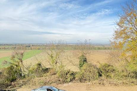 Bäume und Wiese mit Zufahrt und Parkmöglichkeit, Grund und Boden-kauf, 69.000,€, 3433 Tulln