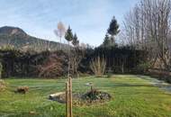 Großzügiges Einfamilienhaus in Bestzustand und sonniger Lage!