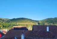 Märchenhaft großes Grundstück in Handlage mit grandiosen Ausblick auf die Burgruine Rehberg in 3500 Krems an der Donau