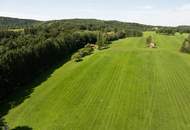 Zum Verkauf steht ein zusammenhängendes Landwirtschafts- und Waldgrundstück mit Holzhaus