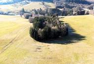 LANDWIRTSCHAFT VOR DEN TOREN WIENS