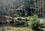 Rückzugsort im Mühlviertel! Autarkes Haus mit Wald und Fischteichen