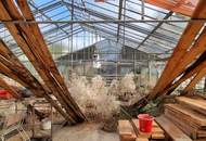 Grundstück mit alter Gärtnerei und Altbestand