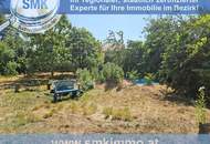 VILLA mit VIEL PLATZ für Mensch und Tier!