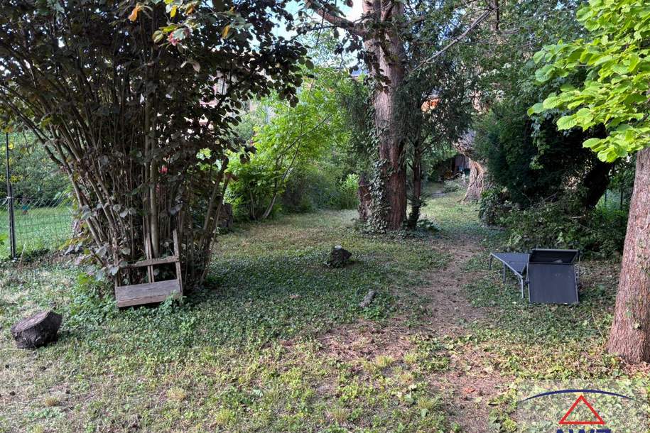 Sanierungsbedürftiges Ein-/Mehrfamilienhaus im Zentrum von Langenzersdorf günstig zu verkaufen!, Haus-kauf, 638.000,€, 2103 Korneuburg