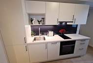 STEPHANSPLATZ-NÄHE, 27 m2 Apartment, 1 Zimmer, Kochnische, Duschbad, Parketten, 8. Liftstock, Rotenturmstraße