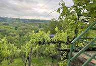 Haus („Pinze“) mit Sicht über die Weinberge 1 Stunde vom Balaton Ungarn