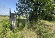 Traumhaftes Baugrundstück mit Garage in Bad Fischau-Brunn