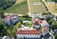 Eingebettet zwischen den „Weinbergen“ und „Donau“ – sofort beziehbar inkl. Küche in charmanten „Freihof“! - JETZT ZUSCHLAGEN