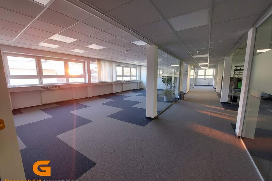 Raum für große Ideen – Ihr neuer Bürostandort nahe Puch-Urstein, Gewerbeobjekt-miete, 12.660,00,€, 5412 Hallein