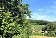Absolute Ruhe. Aussichtslage. Sackgasse. Rundherum Grünland.