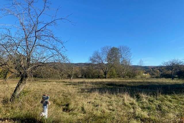 Aufgeschlossenes Baugrundstück in Ruhelage! Teilbar!, Grund und Boden-kauf, 722.800,€, 2821 Wiener Neustadt(Land)
