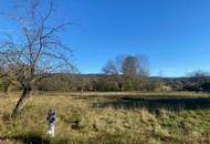 Aufgeschlossenes Baugrundstück in Ruhelage! Teilbar!