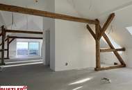 Luxuriöses Penthouse mit historischem Charme und Blick über die Weingärten