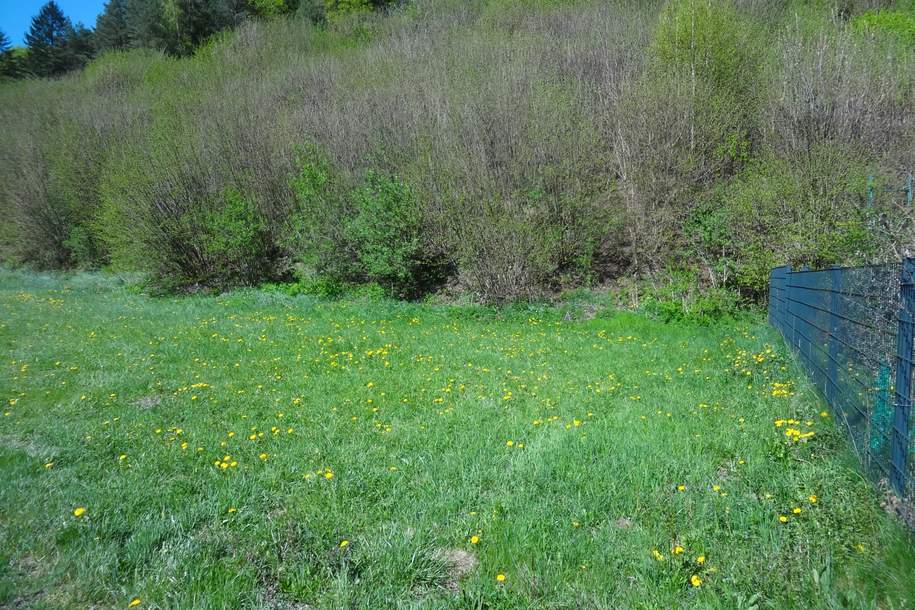 GRUNDSTÜCK OHNE BAUZWANG IN RUHIGER LAGE!, Grund und Boden-kauf, 46.400,€, 2832 Neunkirchen